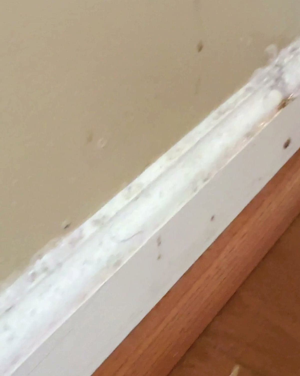 Baseboards, before