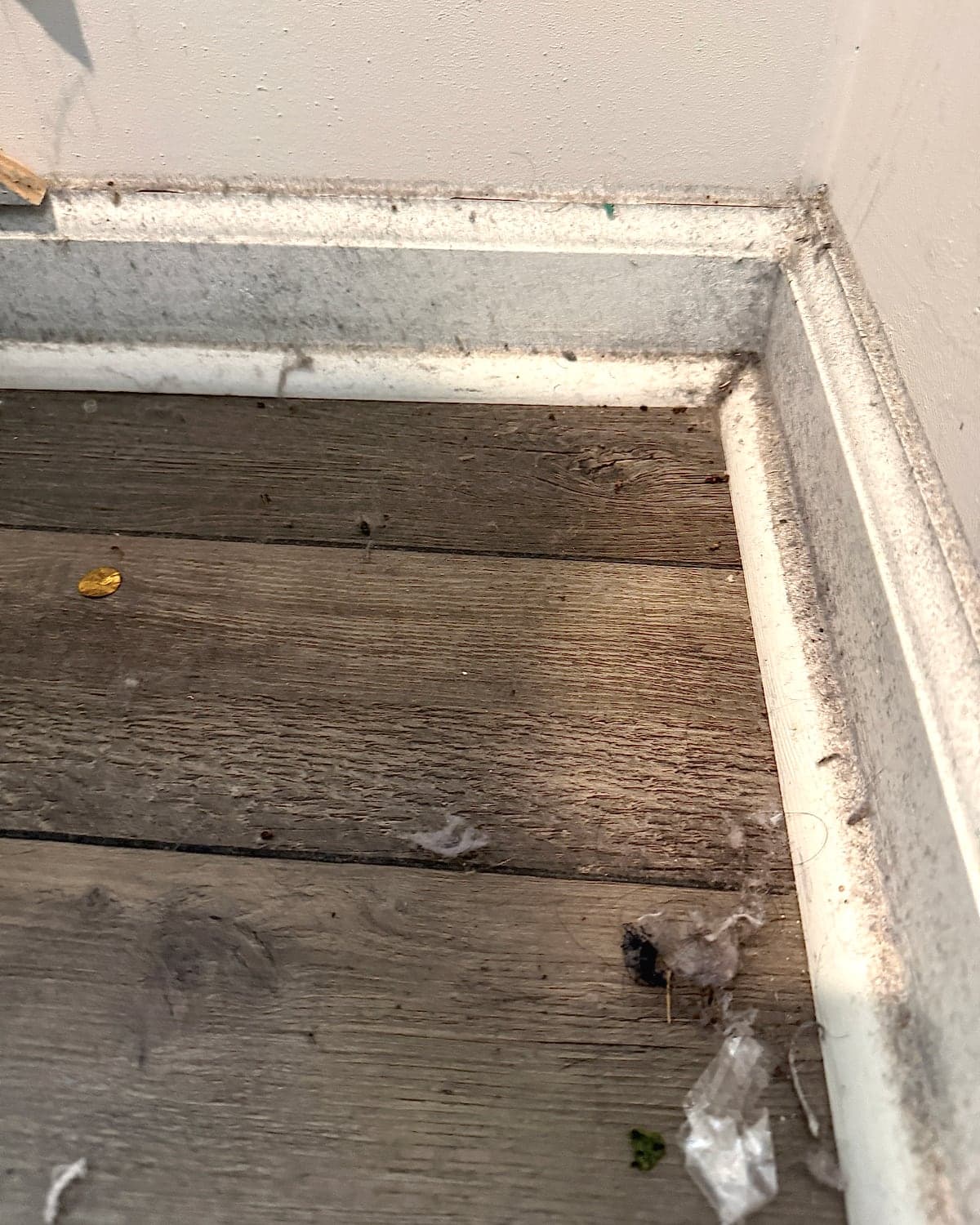 Corners & floors, before